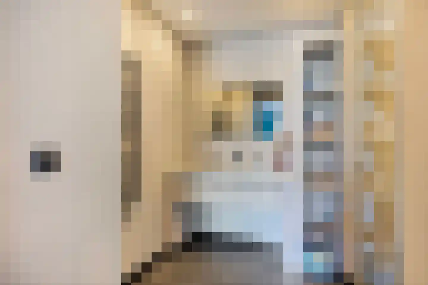 Pruimengaarde 41 Zoetermeer thumbnail 20