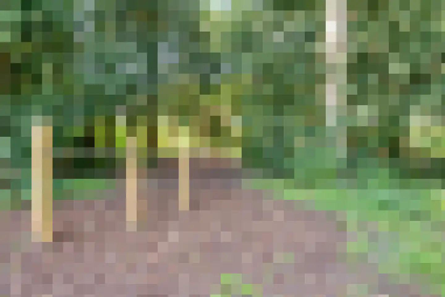 Pruimengaarde 41 Zoetermeer thumbnail 29