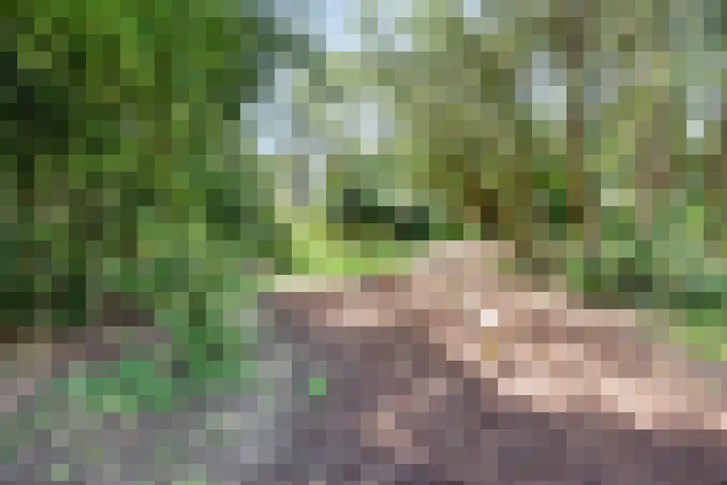 Pruimengaarde 41 Zoetermeer thumbnail 30