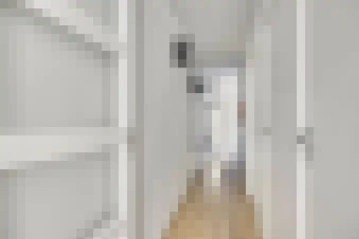Pruimengaarde 41 Zoetermeer thumbnail 9