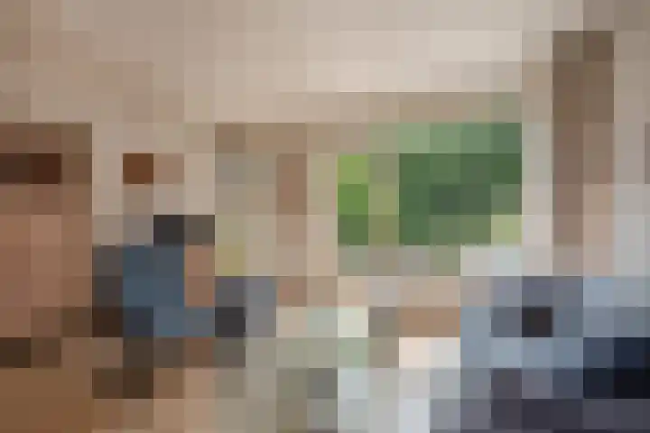 Pruimengaarde 67 Zoetermeer thumbnail 11
