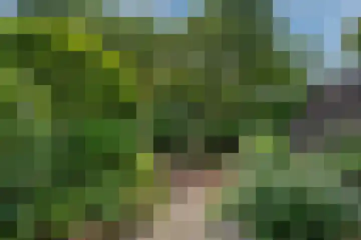 Pruimengaarde 67 Zoetermeer thumbnail 12