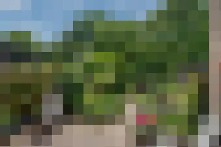 Pruimengaarde 67 Zoetermeer thumbnail 13