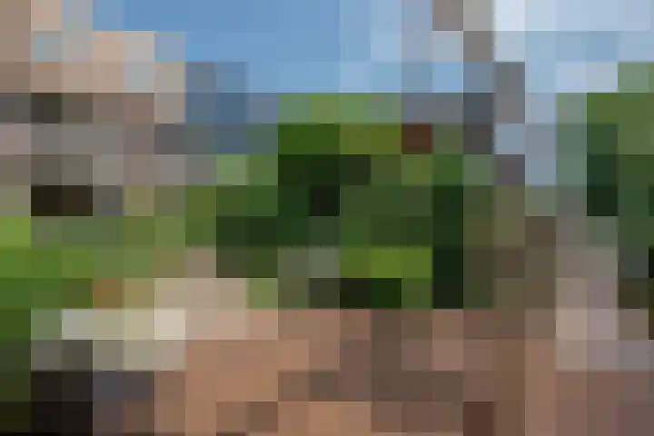 Pruimengaarde 67 Zoetermeer thumbnail 15