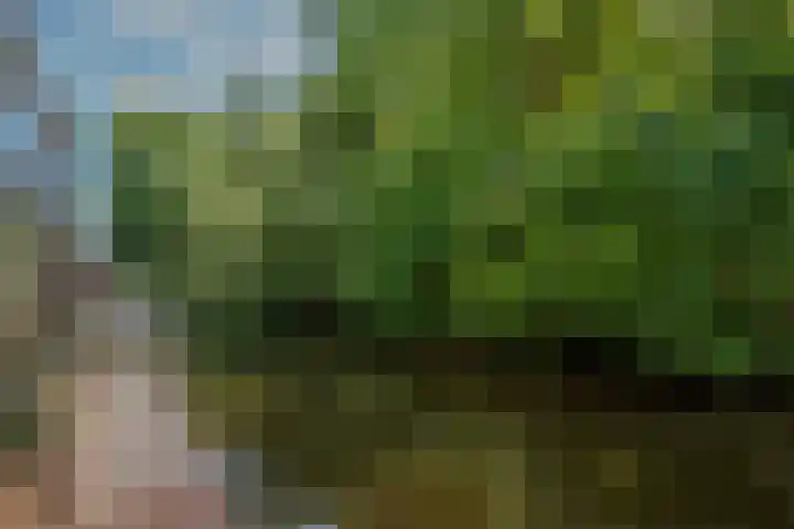 Pruimengaarde 67 Zoetermeer thumbnail 16