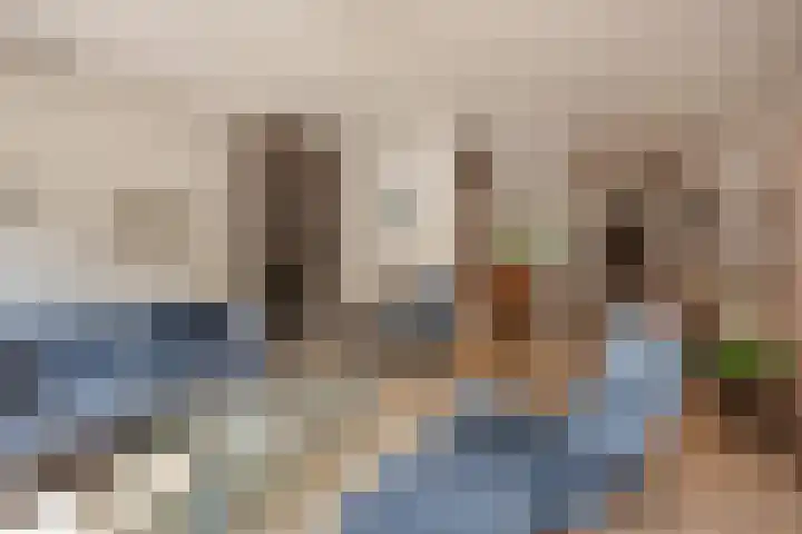 Pruimengaarde 67 Zoetermeer thumbnail 18