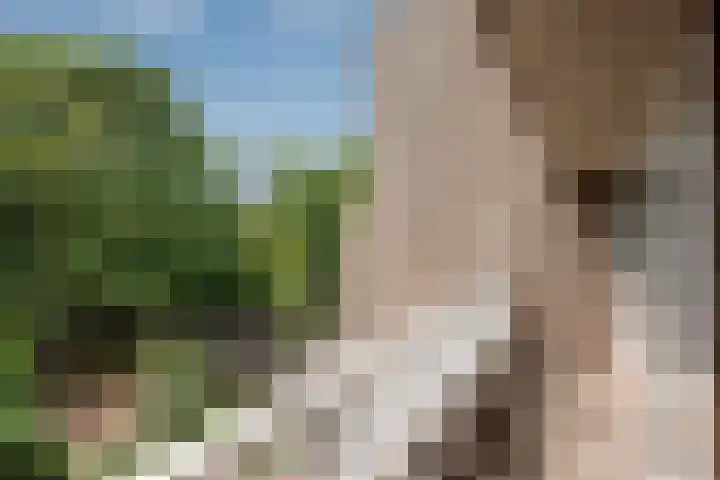 Pruimengaarde 67 Zoetermeer thumbnail 26