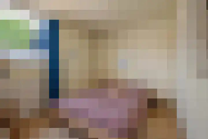 Pruimengaarde 67 Zoetermeer thumbnail 30