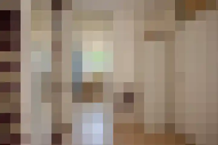 Pruimengaarde 67 Zoetermeer thumbnail 32