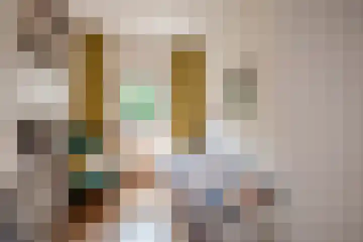 Pruimengaarde 67 Zoetermeer thumbnail 36