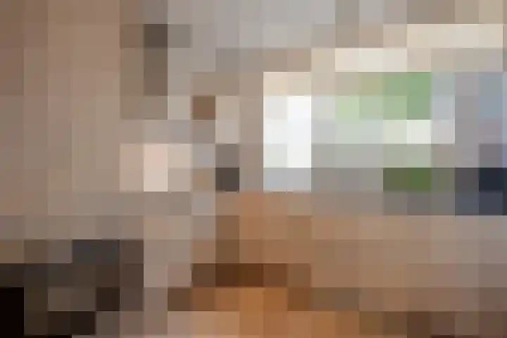 Pruimengaarde 67 Zoetermeer thumbnail 7