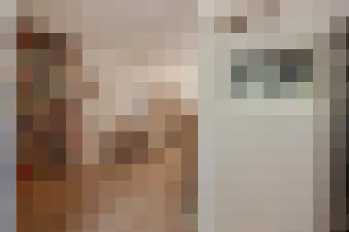 Pruimengaarde 67 Zoetermeer thumbnail 9