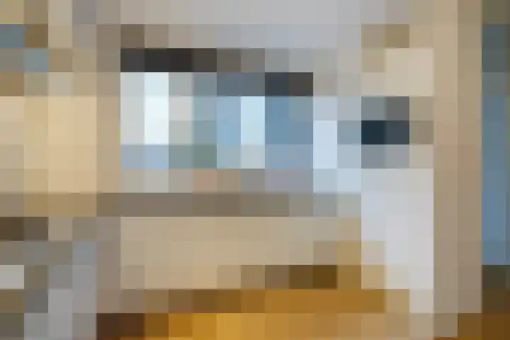 Pruimengaarde 71 Zoetermeer thumbnail 11