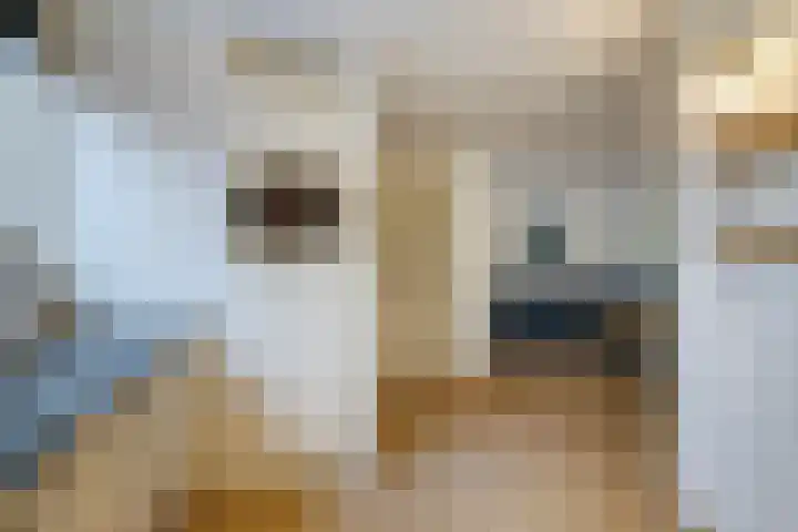 Pruimengaarde 71 Zoetermeer thumbnail 12