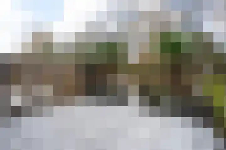 Pruimengaarde 71 Zoetermeer thumbnail 15