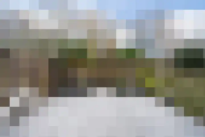 Pruimengaarde 71 Zoetermeer thumbnail 16