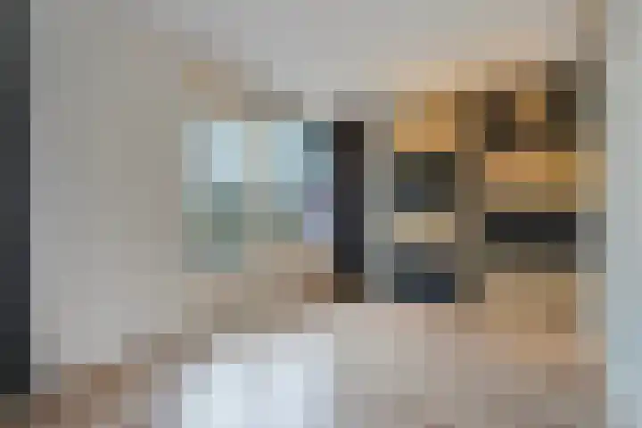 Pruimengaarde 71 Zoetermeer thumbnail 25