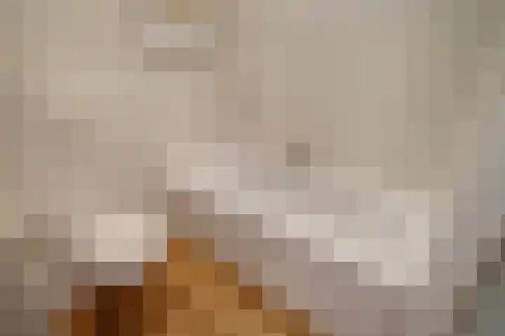Pruimengaarde 71 Zoetermeer thumbnail 30