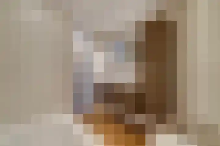 Pruimengaarde 71 Zoetermeer thumbnail 31