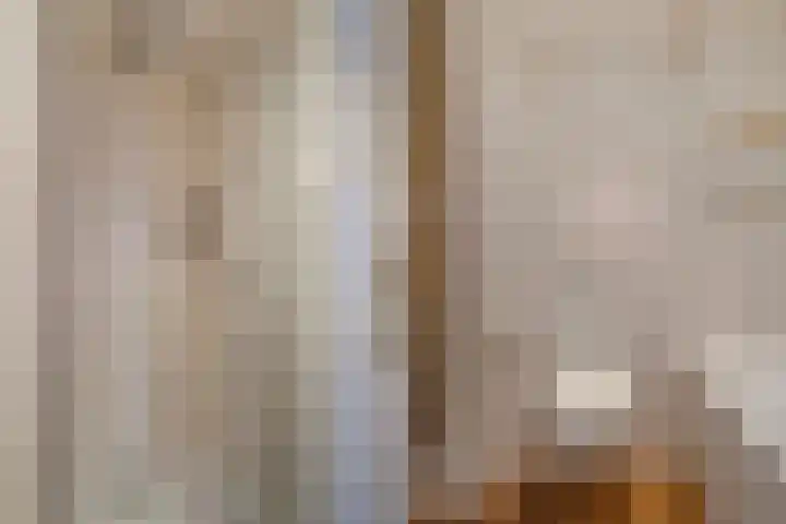 Pruimengaarde 71 Zoetermeer thumbnail 32