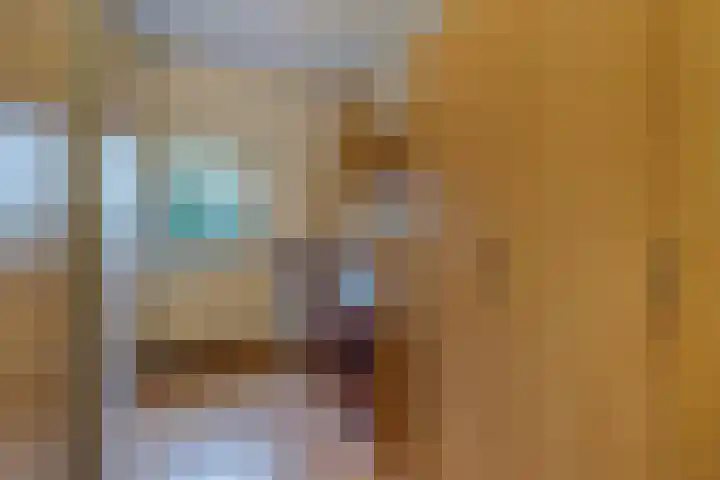 Pruimengaarde 71 Zoetermeer thumbnail 38
