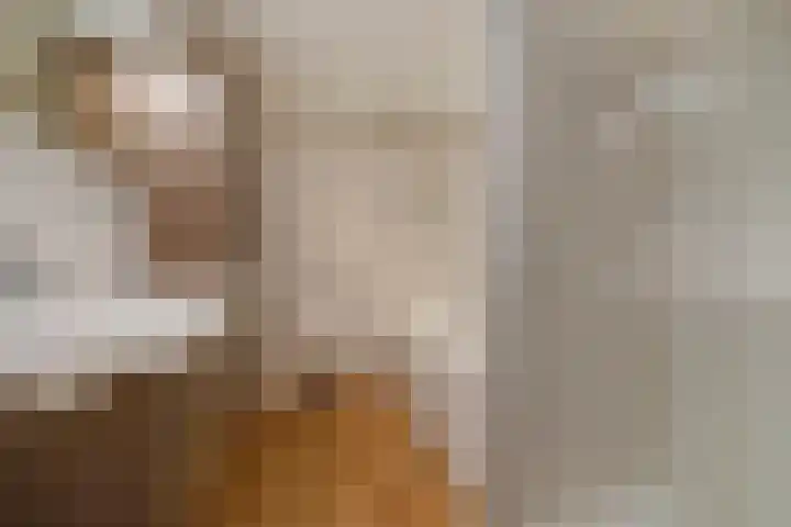 Pruimengaarde 71 Zoetermeer thumbnail 4