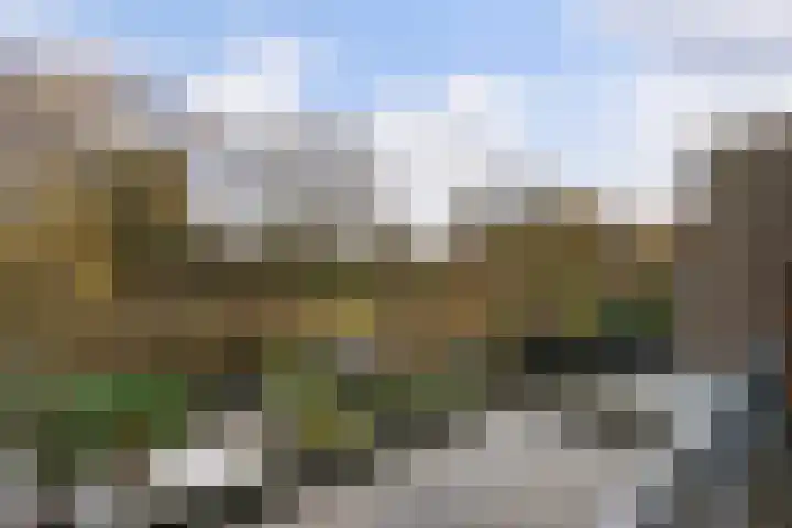 Pruimengaarde 71 Zoetermeer thumbnail 41