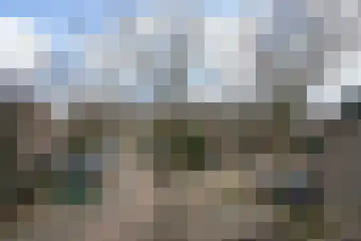 Pruimengaarde 71 Zoetermeer thumbnail 42