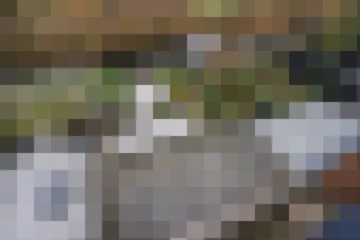 Pruimengaarde 71 Zoetermeer thumbnail 44