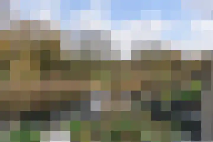 Pruimengaarde 71 Zoetermeer thumbnail 45