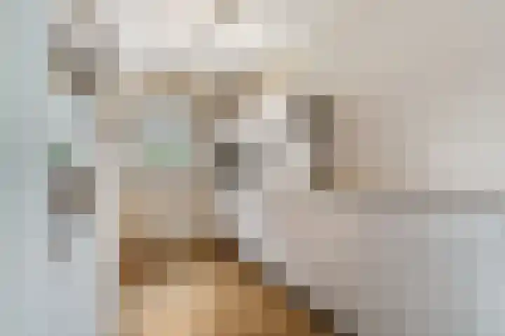 Pruimenhof 2 Bemmel thumbnail 14