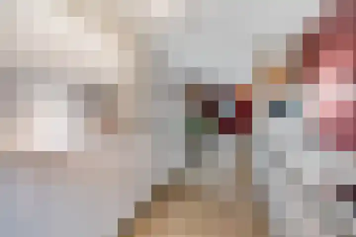 Pruimenhof 2 Bemmel thumbnail 15