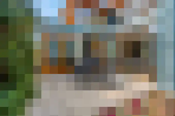 Pruimenhof 2 Bemmel thumbnail 29