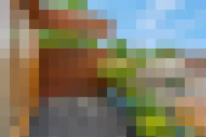 Pruimenhof 2 Bemmel thumbnail 39