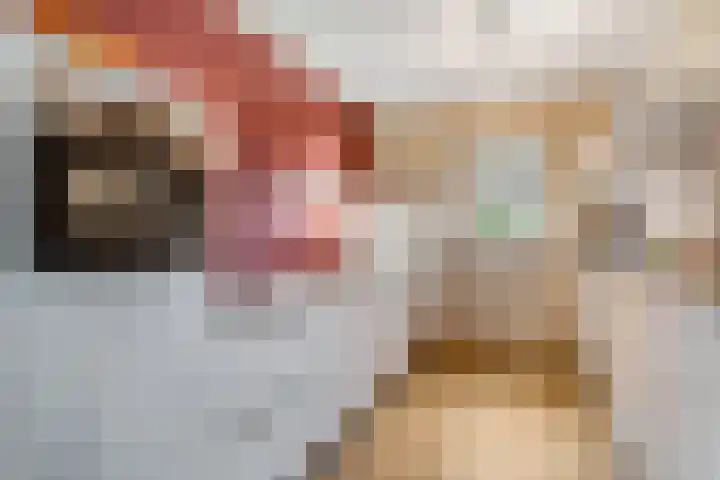 Pruimenhof 2 Bemmel thumbnail 4