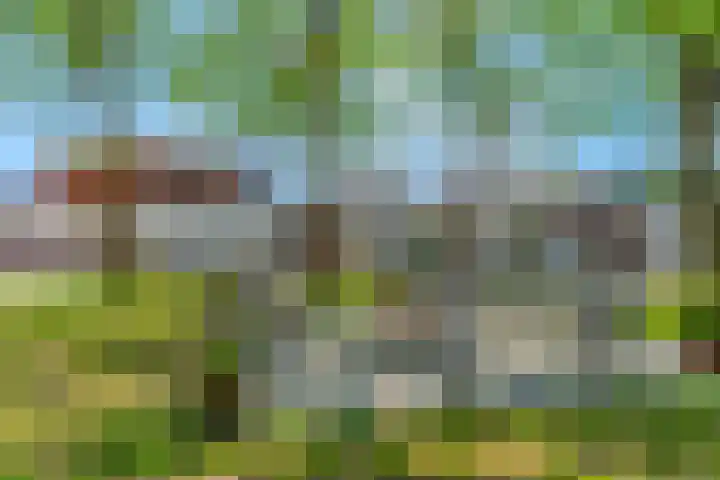 Pruimenhof 2 Bemmel thumbnail 44