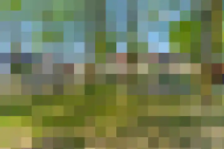 Pruimenhof 2 Bemmel thumbnail 45