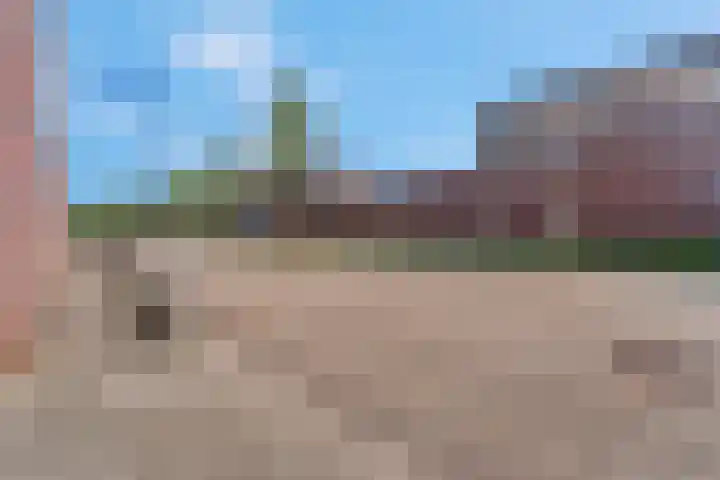 Pruimenhof 2 Bemmel thumbnail 46