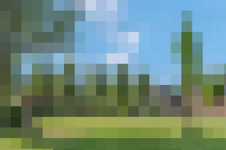 Pruimenhof 2 Bemmel thumbnail 48