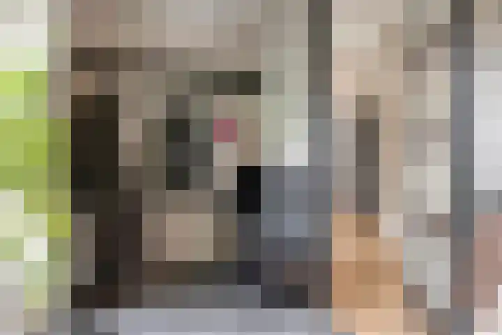 Pruimenhof 6 Loppersum thumbnail 10