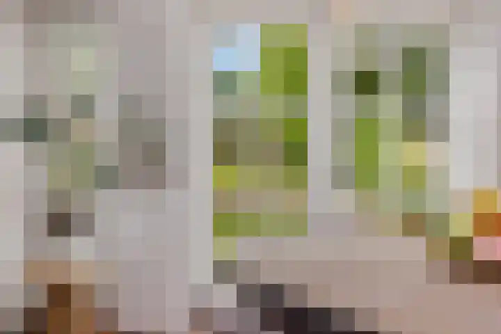 Pruimenhof 6 Loppersum thumbnail 15