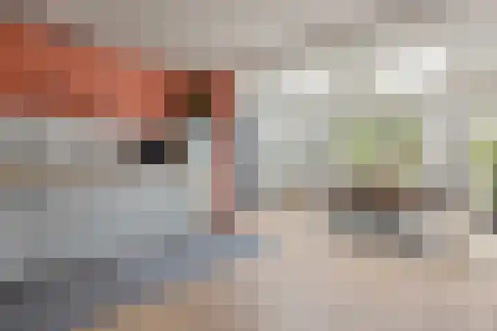 Pruimenhof 6 Loppersum thumbnail 16