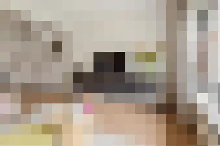 Pruimenhof 6 Loppersum thumbnail 24