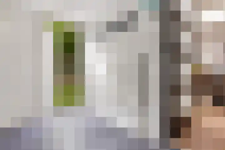 Pruimenhof 6 Loppersum thumbnail 28