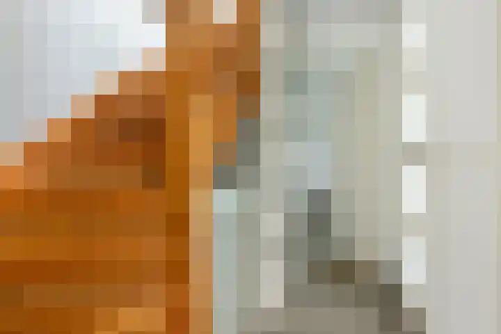 Pruimenhof 6 Loppersum thumbnail 41