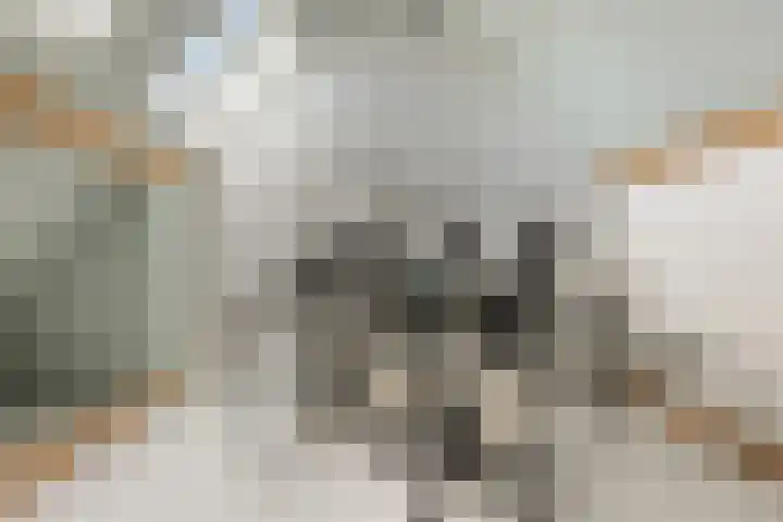 Pruimenhof 6 Loppersum thumbnail 42