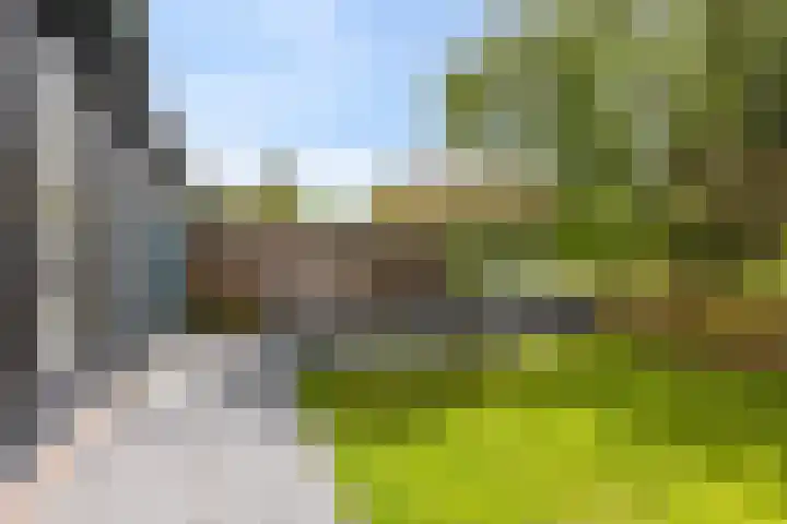 Pruimenhof 6 Loppersum thumbnail 43