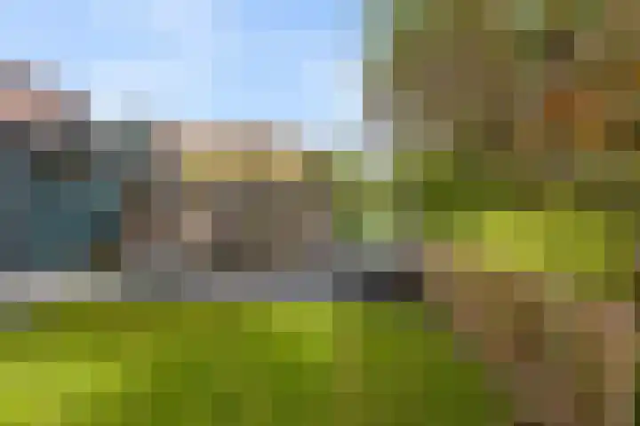 Pruimenhof 6 Loppersum thumbnail 44