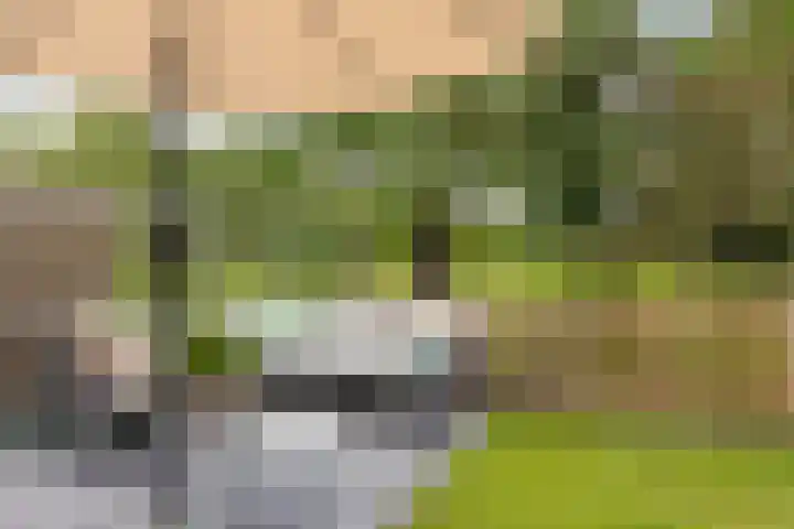Pruimenhof 6 Loppersum thumbnail 47
