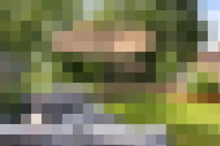 Pruimenhof 6 Loppersum thumbnail 49